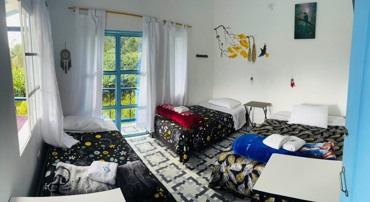 Backpacker Dorm — 4 beds · shared bathroom
